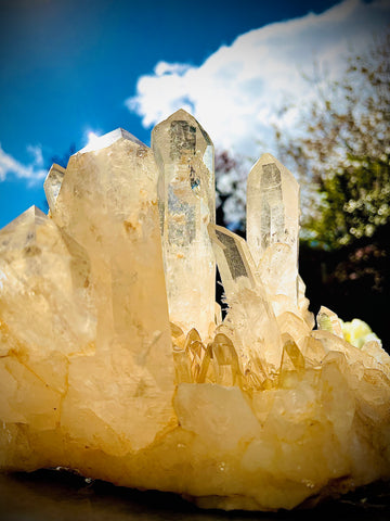 マスターゴールデンヒーラー✨クラスター大