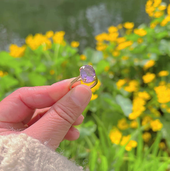 The Flower of Amethyst